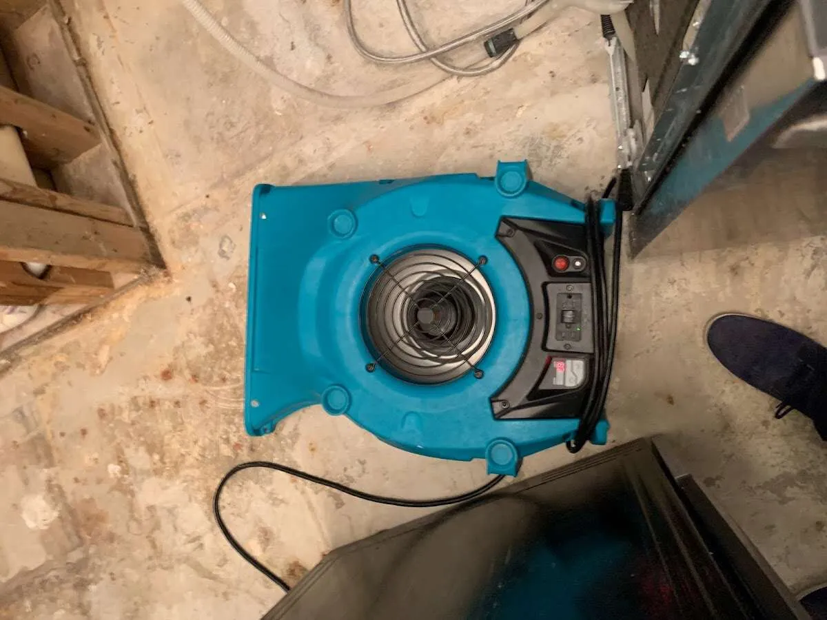 Air mover drying equipment for Mold Remediation & Removal in Lakeport